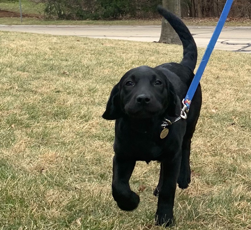 Cleo: the new recruit